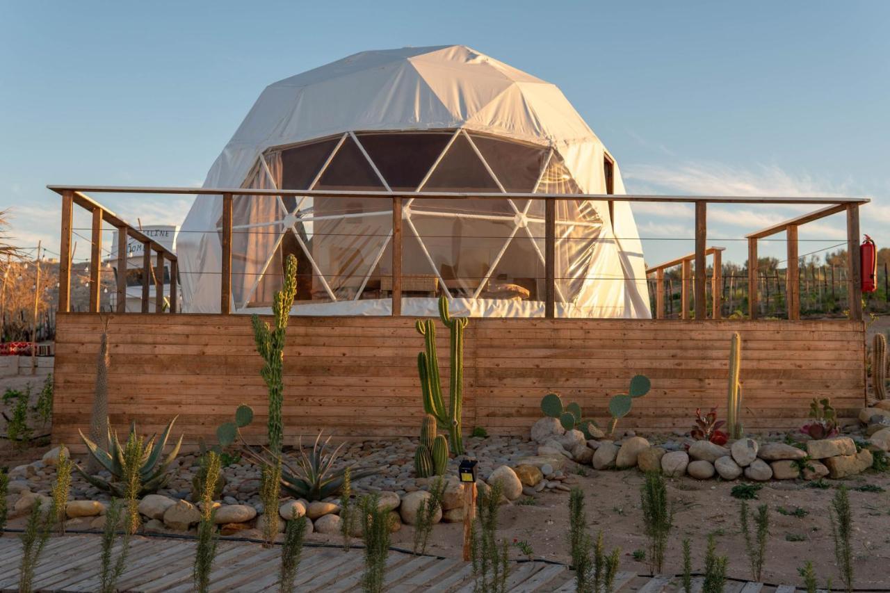 Timlalin Dome Otel Tamri Dış mekan fotoğraf